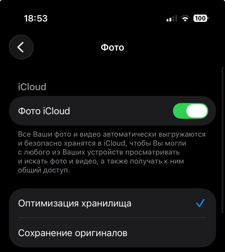 Как сэкономить место с помощью iCloud. Ставим первую галочку, а затем «Оптимизация хранилища». Фото.