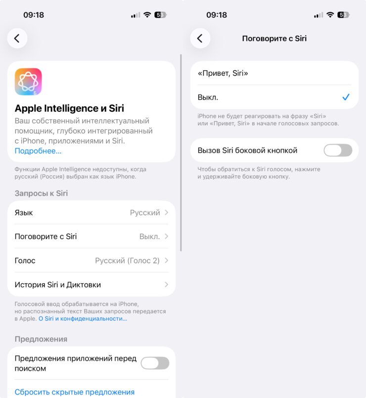 Как включить бесшумный режим на айфоне голосом. Без этого Siri работать не будет. Фото.