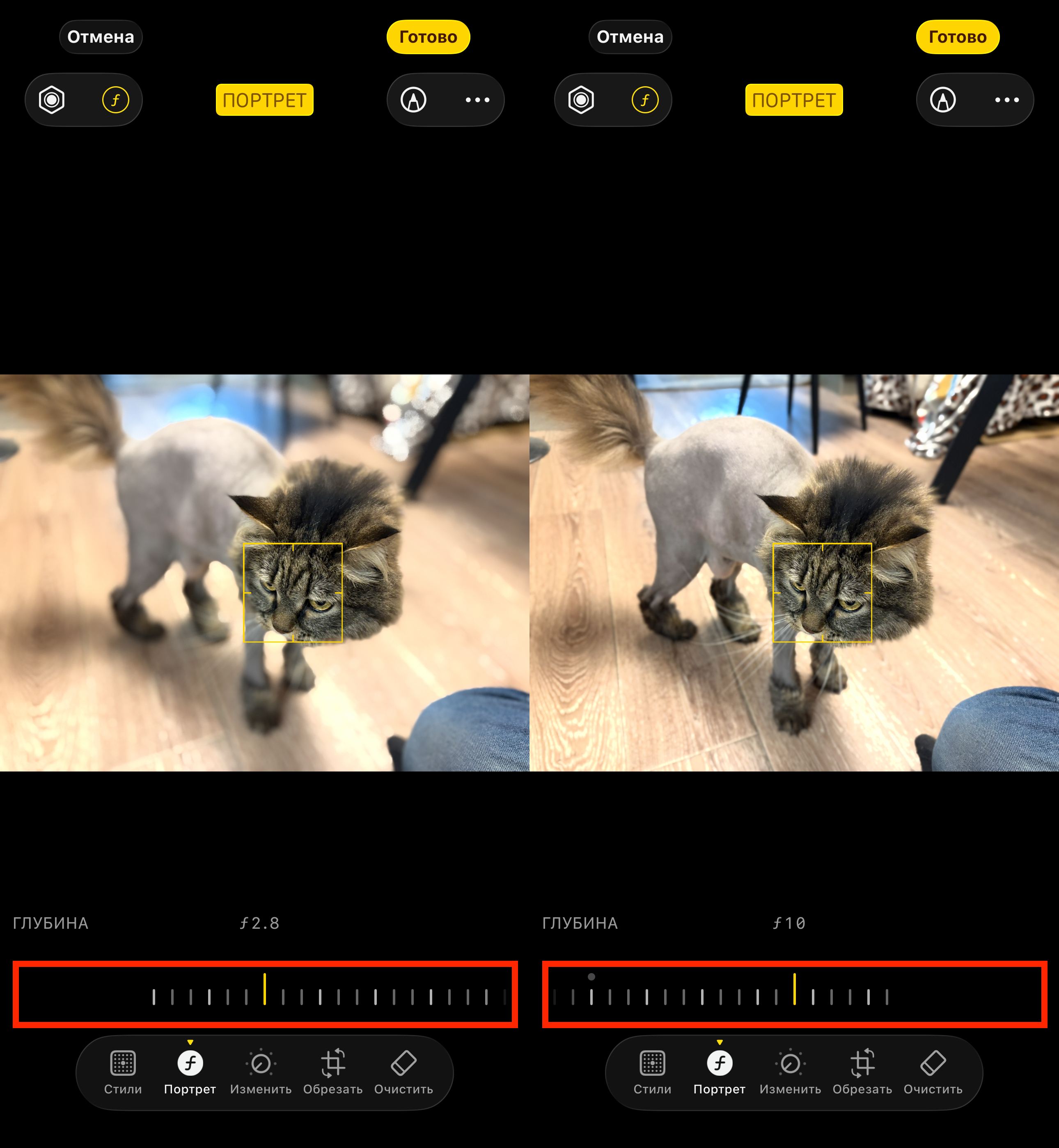 Как настроить портрет на айфоне. Степень размытия можно настроить этим ползунком. Фото.