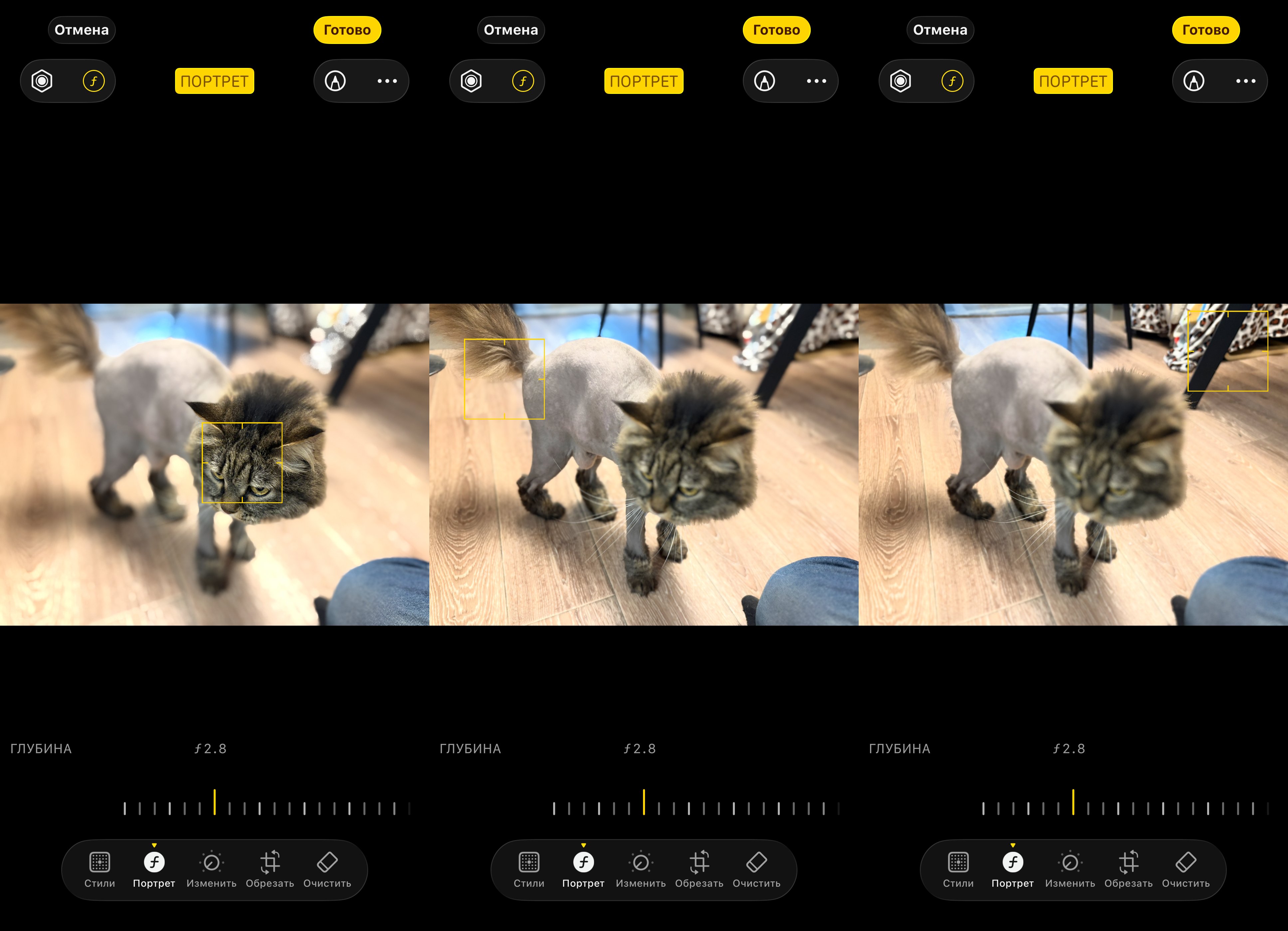 Как настроить портрет на айфоне. Тапайте в нужное место, и фокусировка будет меняться. Фото.