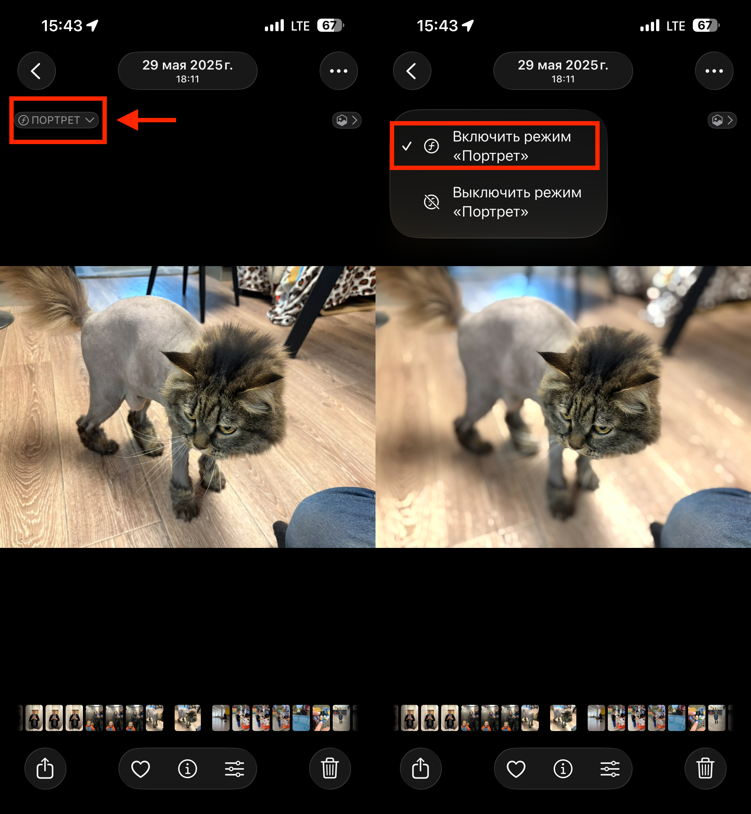 Как сделать портрет на айфоне. Таким же способом портретный режим можно выключить. Фото.