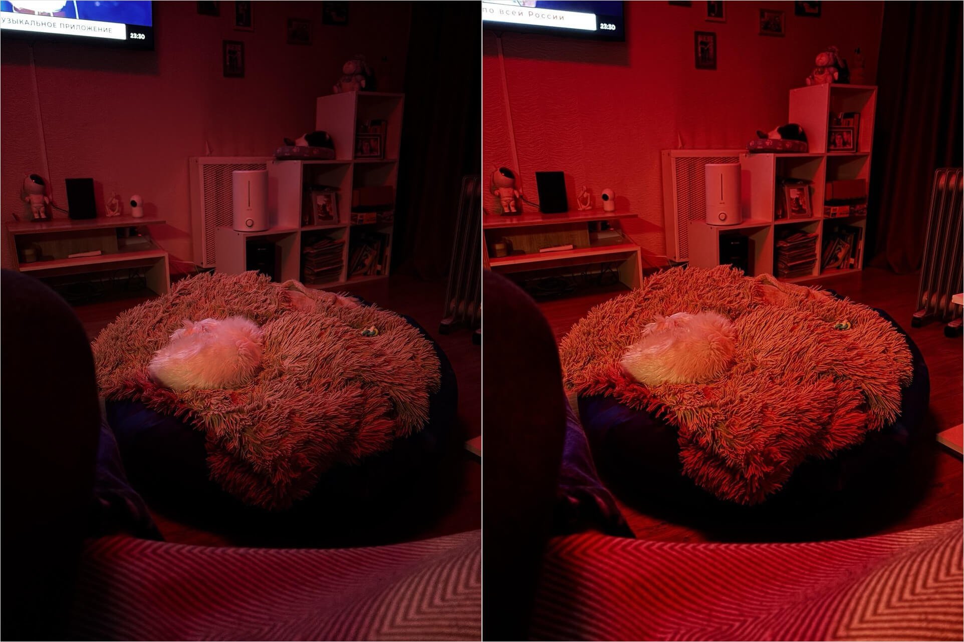 Какая камера у Айфон 15. Хотя, если есть небольшой источник света, можно сделать неплохой кадр. Фото.