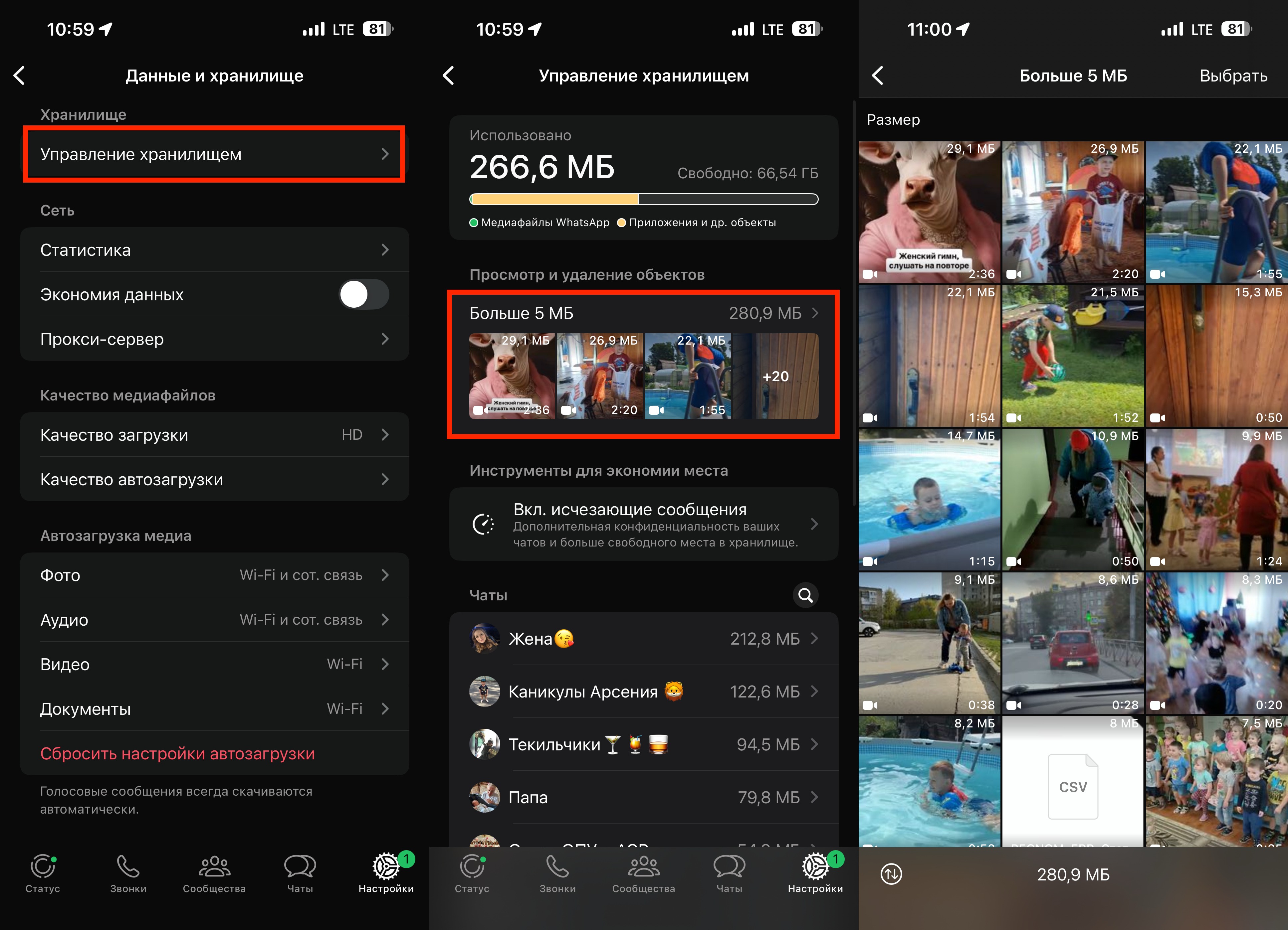 Как очистить WhatsApp* на iPhone. Удалите всё ненужное в этом разделе. Фото.