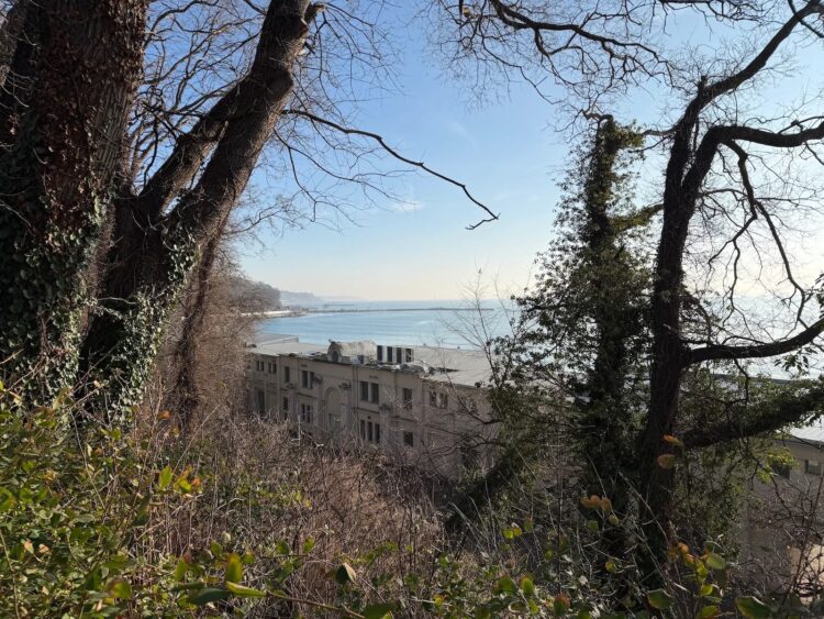 Почему фото с iPhone выглядят лучше, чем с фотоаппарата. Тут прям баланс по всем показателям. Изображение: phonearena.com. Фото.