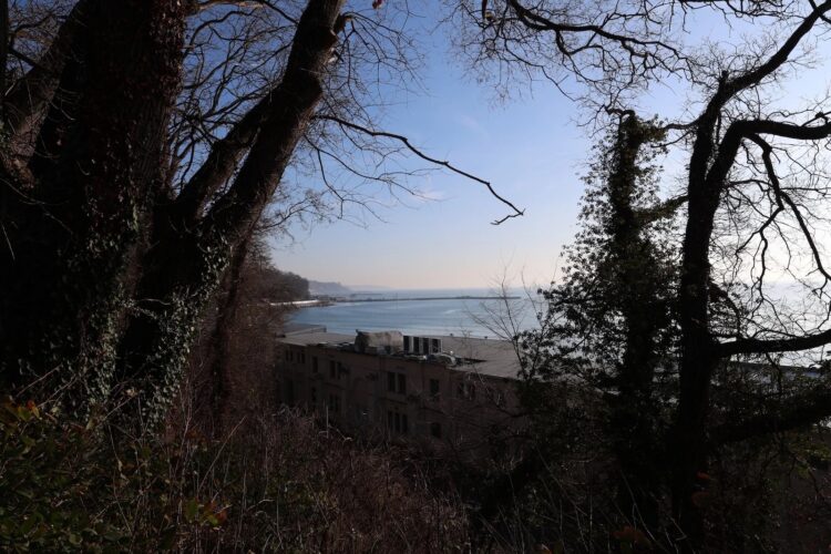 Почему фото с iPhone выглядят лучше, чем с фотоаппарата. Камера старается не засветить небо, так что проваливается в тенях. Изображение: phonearena.com. Фото.