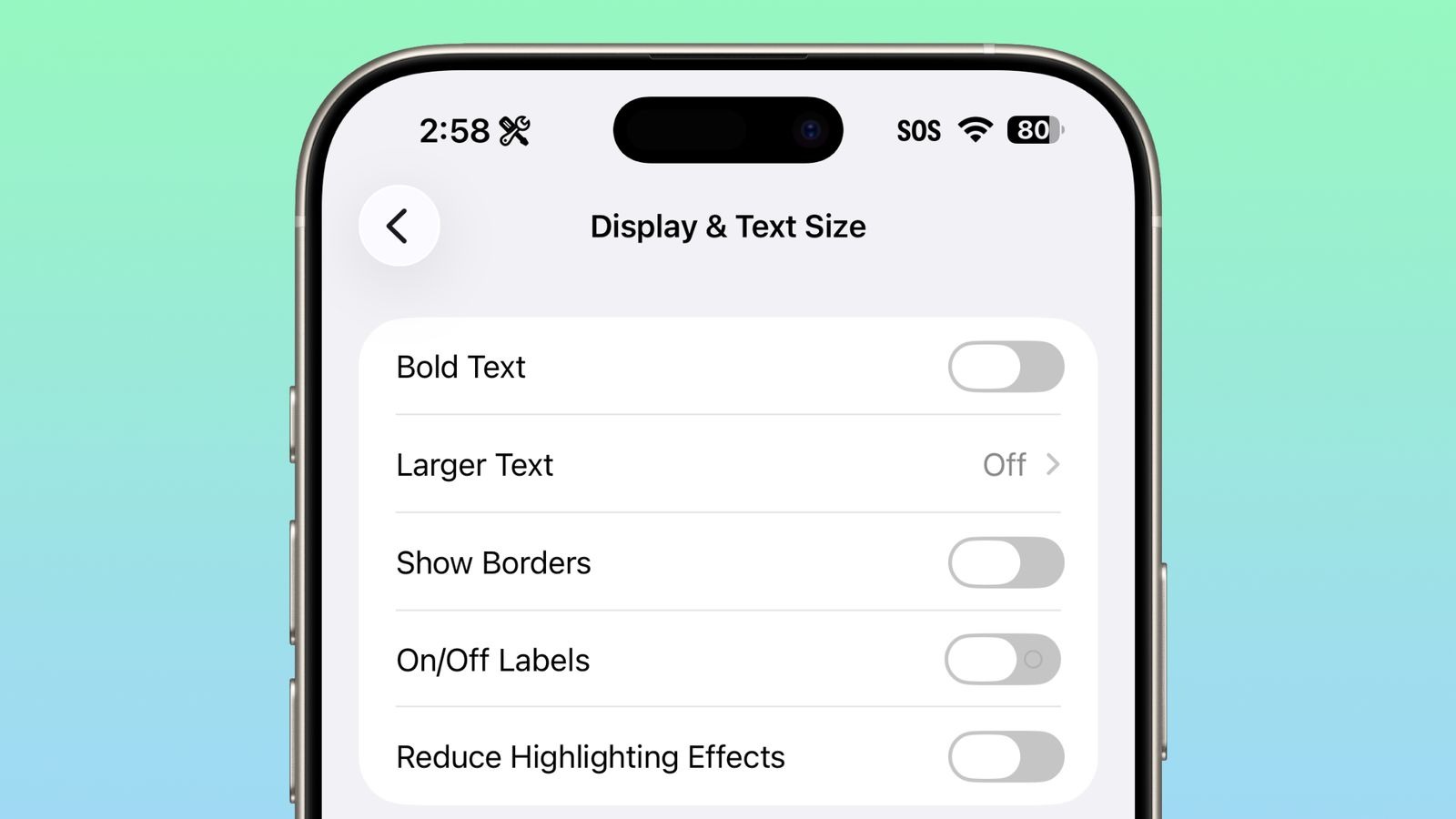 Собрали все новые функции, которые появились во второй бета-версии iOS 26.4. В универсальном доступе появился новый тумблер. Изображение: macrumors.com. Фото.