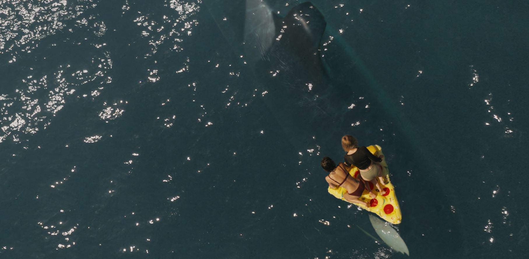 Кит-убийца — новый фильм ужасов. Захватывающий триллер про косатку-убийцу нельзя пропускать ни в коем случае. Фото: kinobusiness.com. Фото.