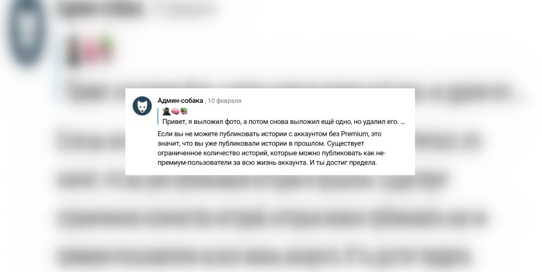 Не могу выложить историю в Телеграм без подписки Premium в России. Что делать. Поддержка признает наличие лимита бесплатных сторис на аккаунте. Фото.