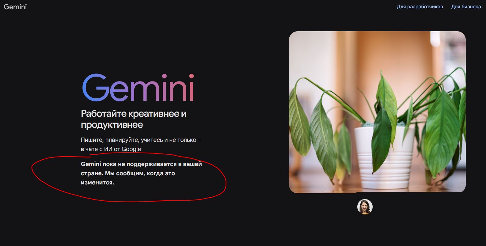 Gemini или ИИ-режим поиска в Google. Без VPN Gemini просто не получится открыть. Фото.