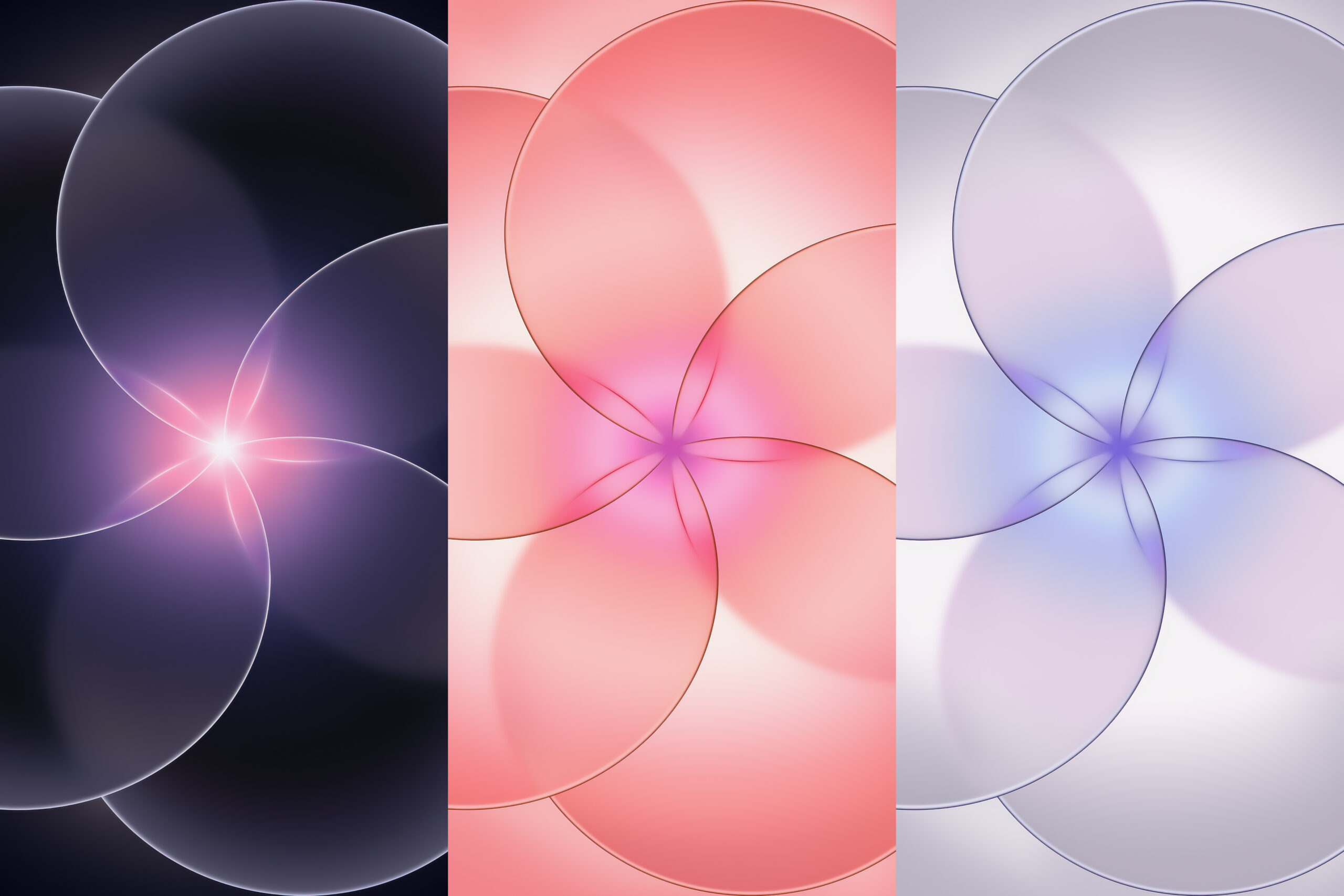 Какие обои получил iPhone 17e. Все обои уже можно скачать и установить на свой айфон. Изображение: basicappleguy.com. Какие обои получил iPhone 17e. Все обои уже можно скачать и установить на свой айфон. Изображение: basicappleguy.com. Фото.