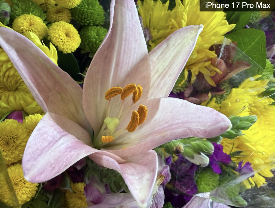 В чём Galaxy S26 Ultra лучше iPhone 17 Pro Max. И тусклое нечто на айфон. Изображение: tomsguide.com. Фото.