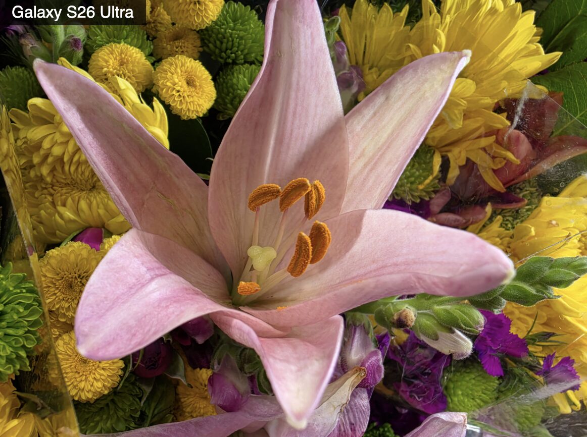 В чём Galaxy S26 Ultra лучше iPhone 17 Pro Max. С макро ситуация получилась такая же. Идеальный снимок на Самсунг. Изображение: tomsguide.com. Фото.