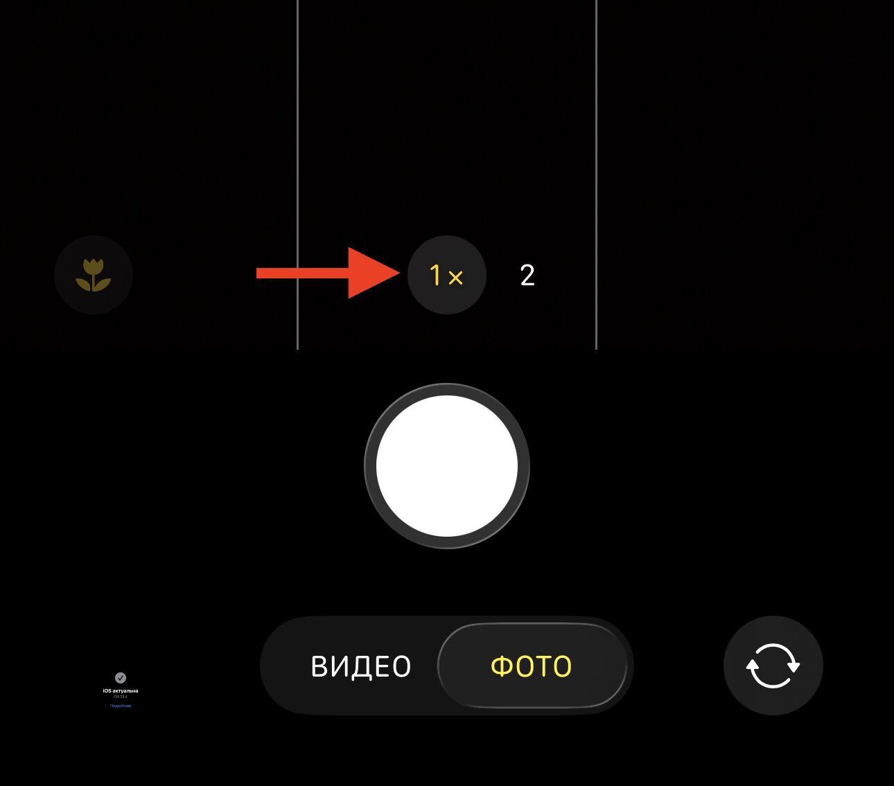 Зум x1 (24 мм) — основная камера и режим макро. Стандартный режим, который включается по умолчанию. Фото.