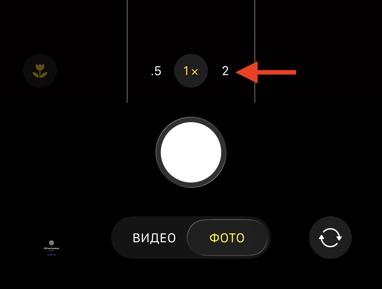 Зум x2 (48 мм) — портреты и предметная съёмка без искажений. На большинстве современных айфонов есть х2. Фото.