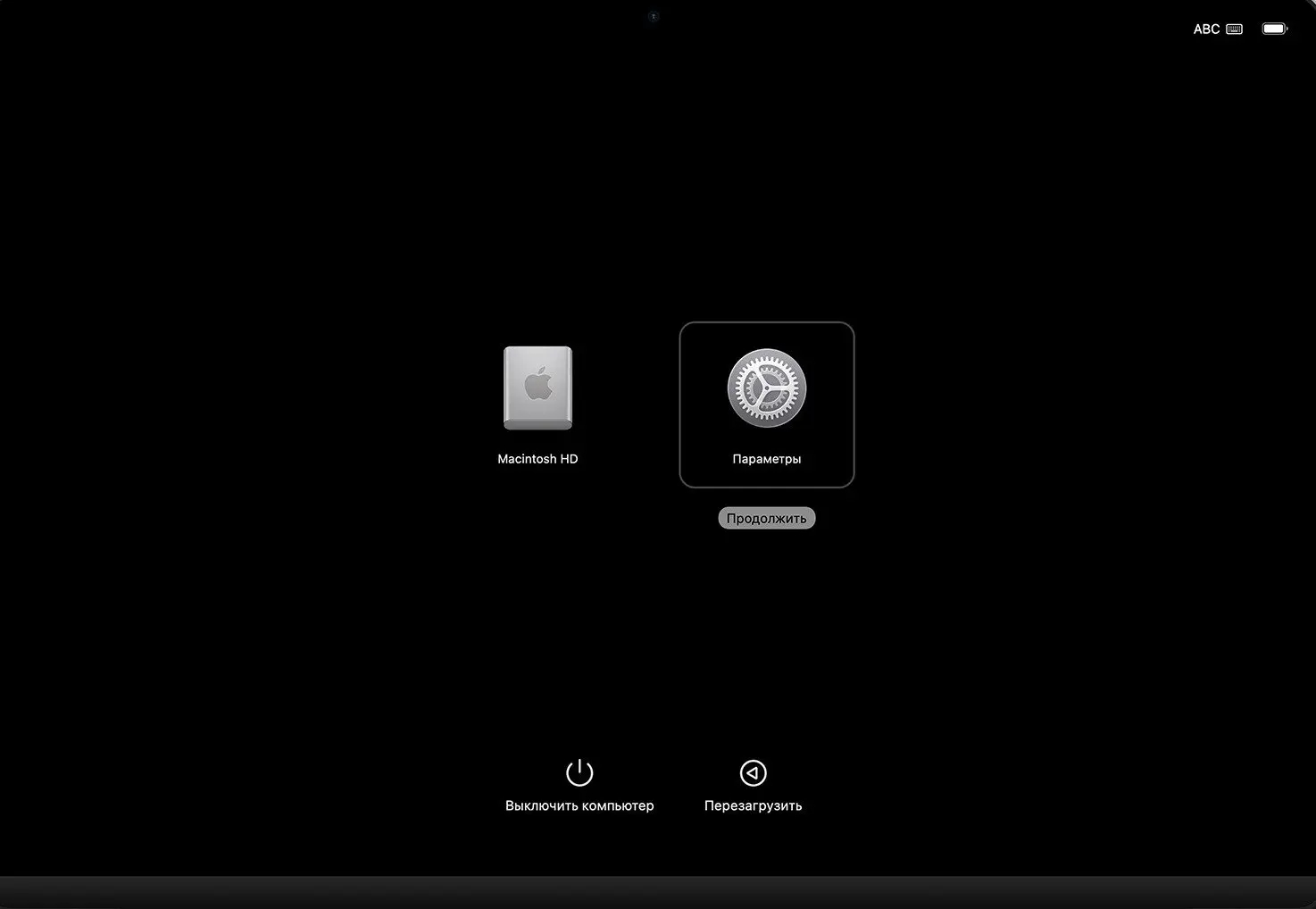 Safe mode on Mac: how to start. On this screen you need to select the startup disk. Photo.