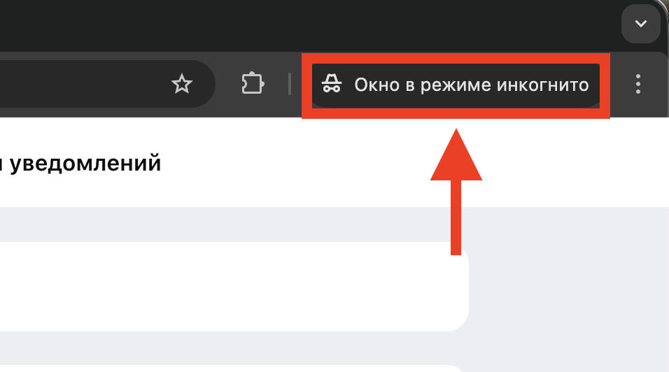 Как безопасно пользоваться MAX на чужом компьютере. Если входите в МАХ не со своего компьютера, включайте инкогнито. Фото.