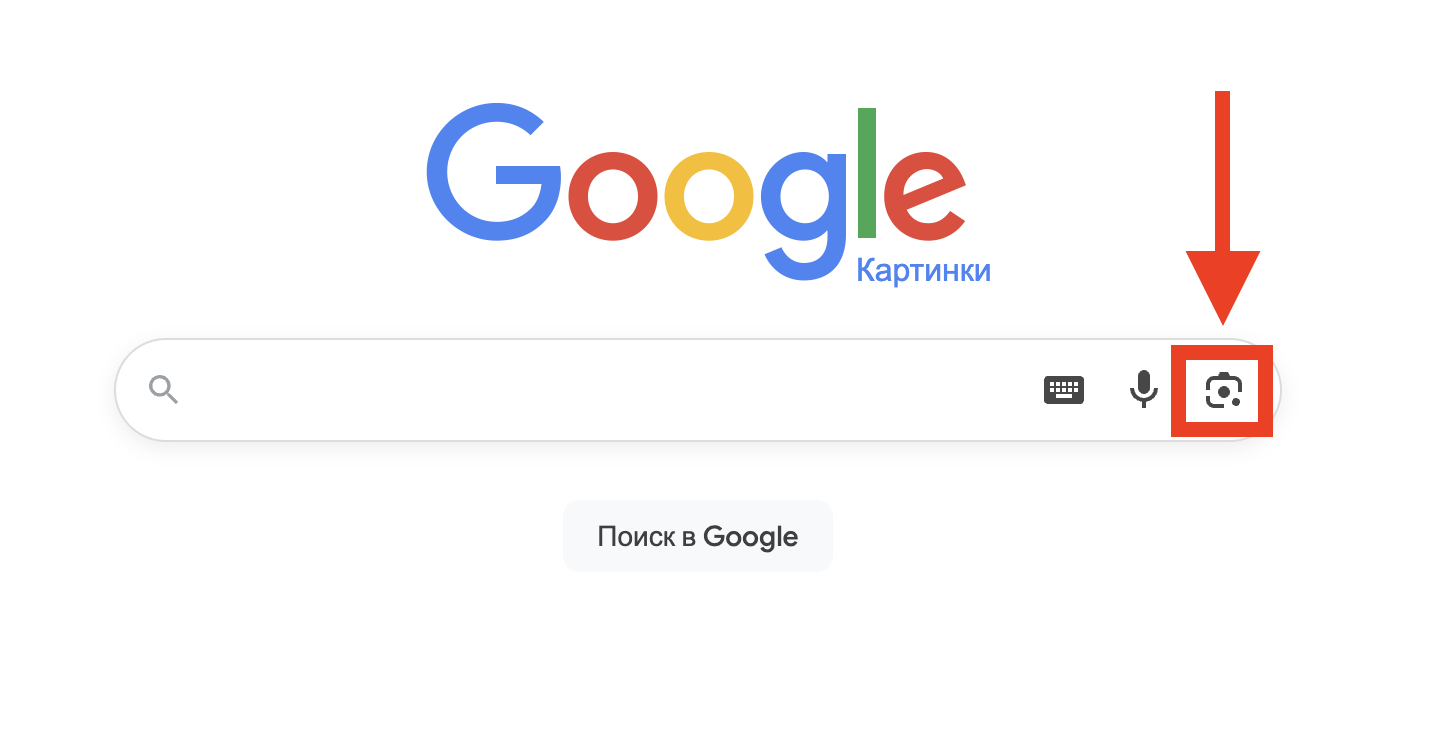 Поиск по фотографии в Google. Поиск по картинкам в «Гугл» искать здесь. Фото.
