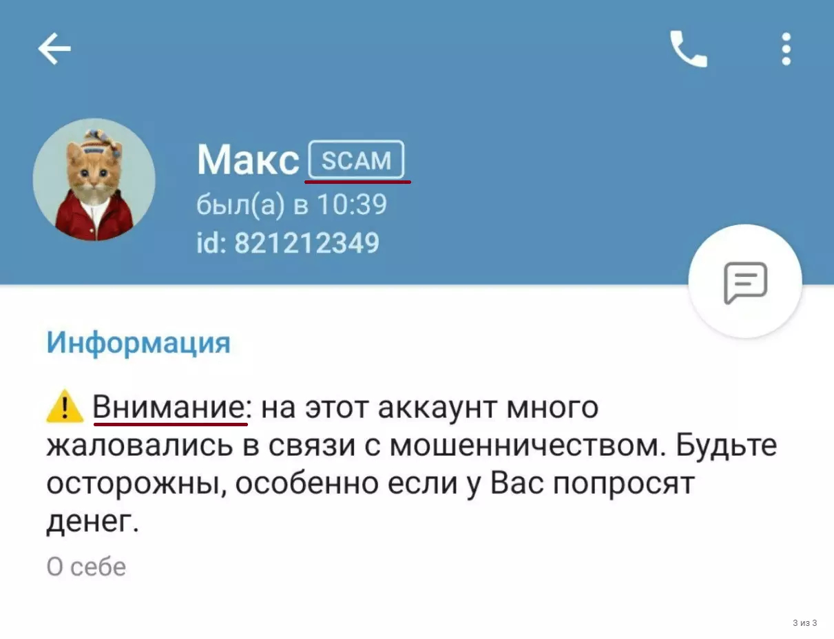 Метки SCAM и FAKE в Telegram. Может быть и такая отметка. Изображение: gruzdevv.ru. Фото.