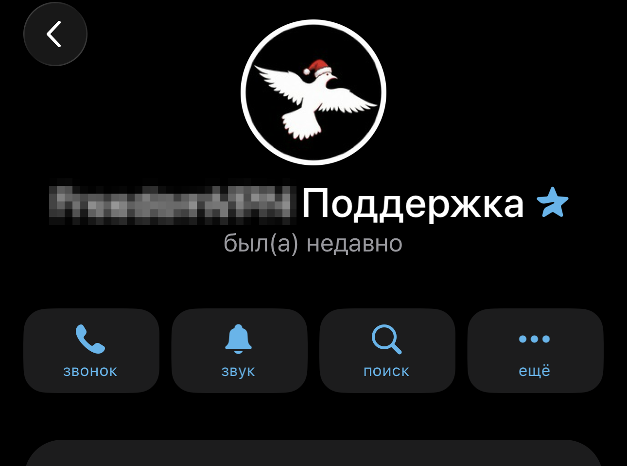 Звёздочка в Telegram рядом с именем. Многие организации делают себе премиум, и появляется звездочка. Фото.