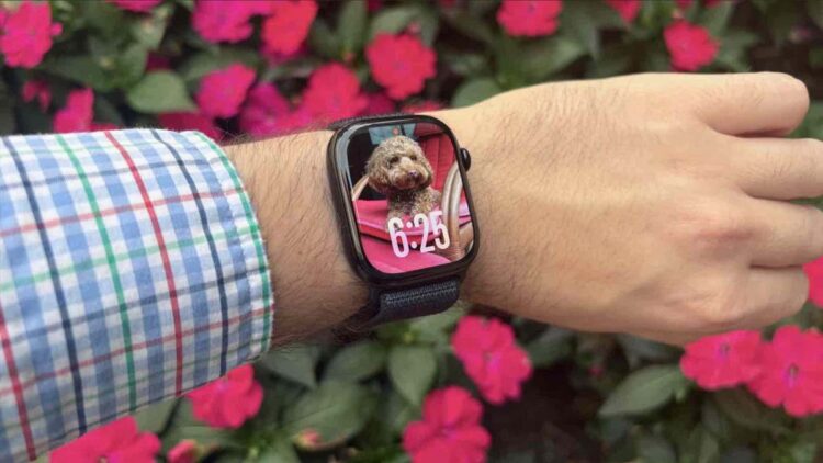 Какие Apple Watch лучше купить в 2026 году. Фото.