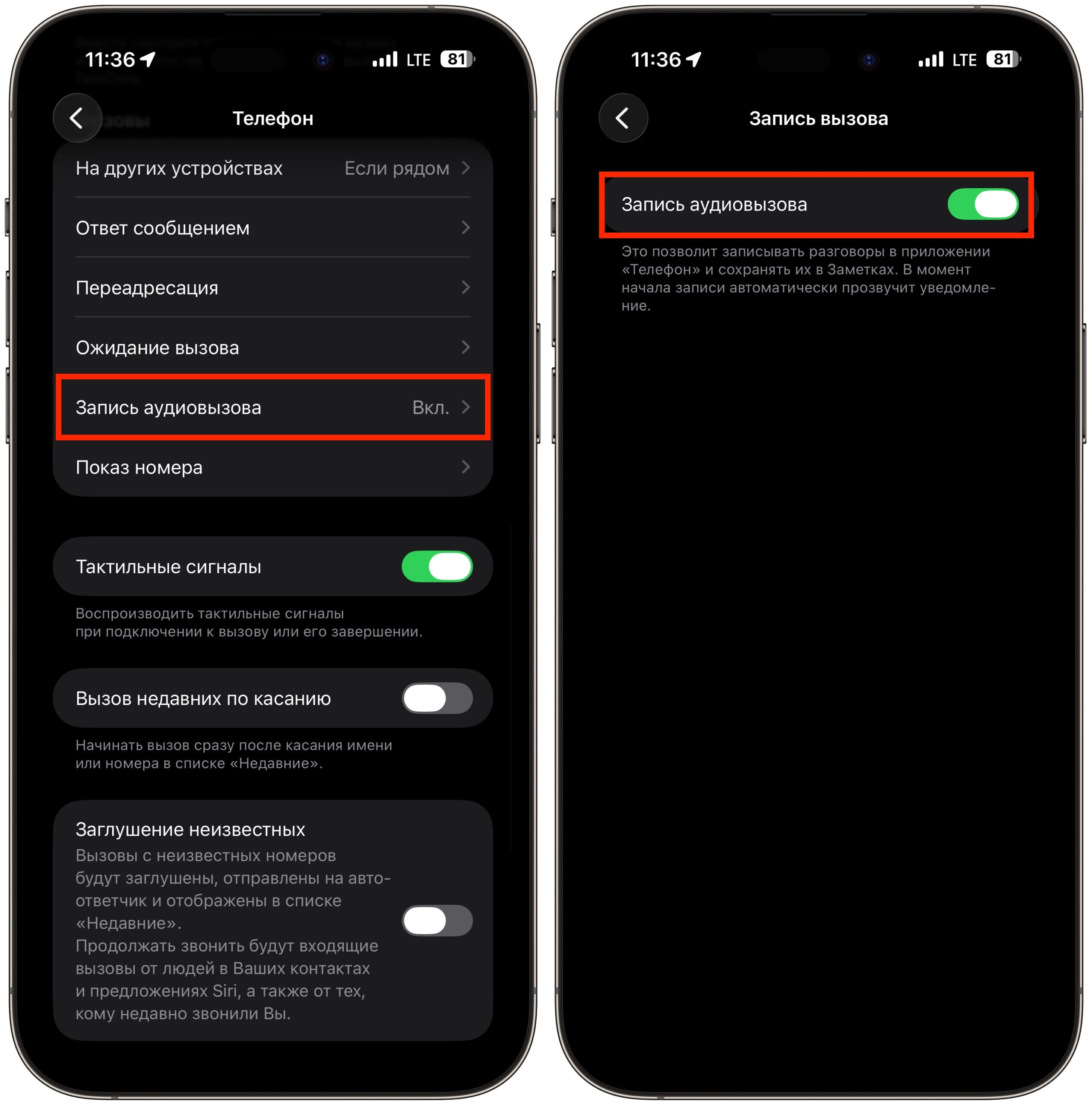 Как включить запись звонков на iPhone. Сама запись активируется в настройках iPhone. Фото.