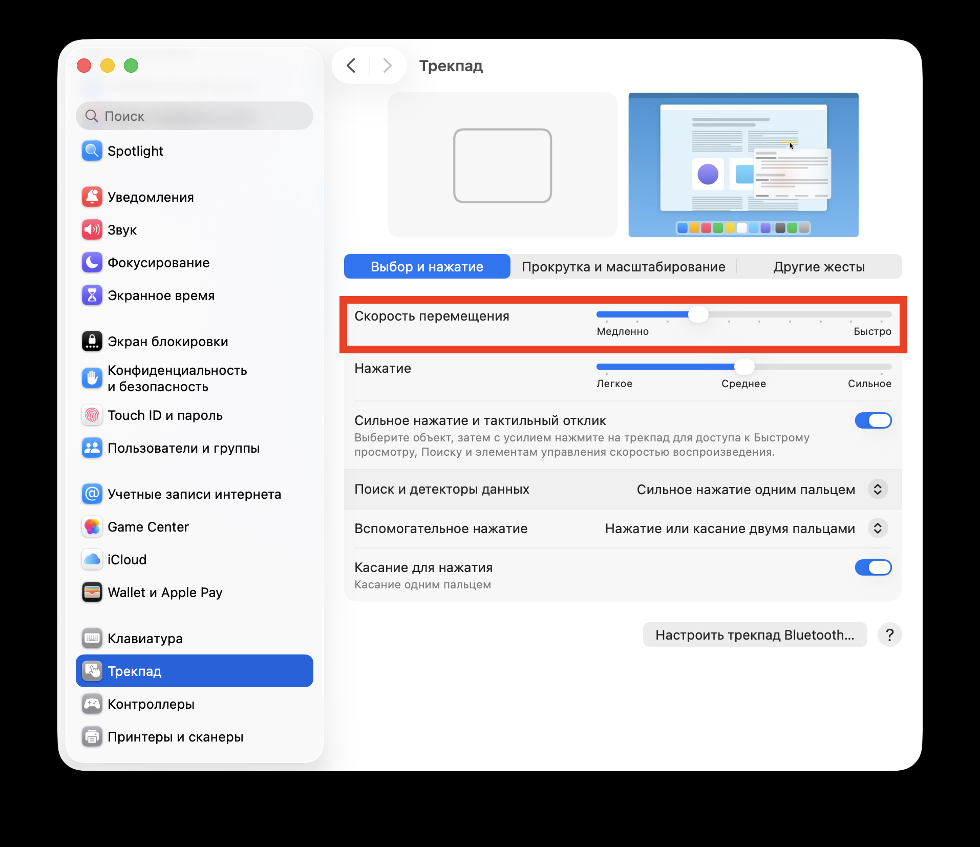 Как изменить скорость курсора на MacBook. Настройте скорость трекпада здесь. Фото.