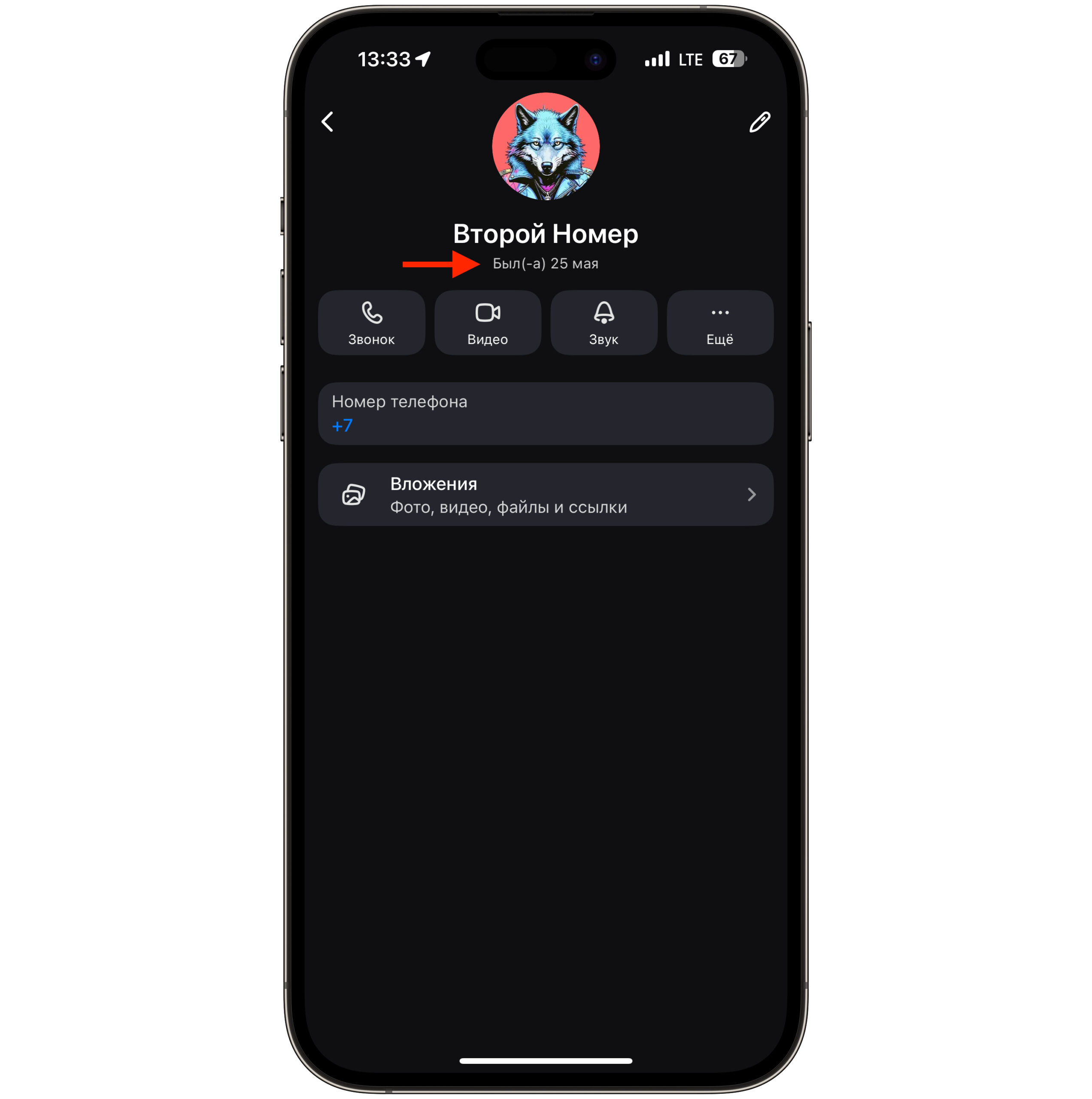 Время посещения в MAX на iPhone — что это такое. Вы увидите дату, но не время. Фото.
