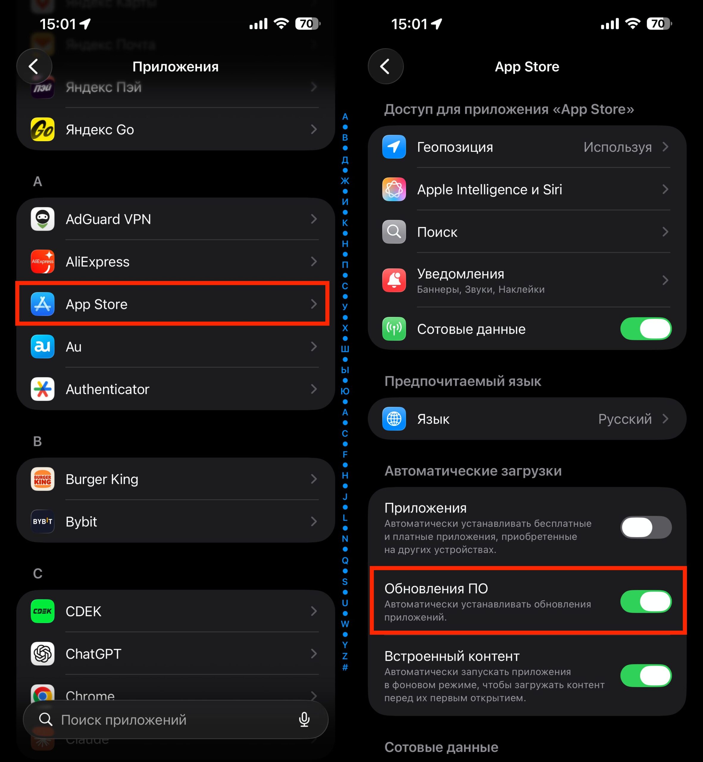Автообновление WhatsApp на iPhone. Можно включить автообновление. Это будет еще проще. Фото.