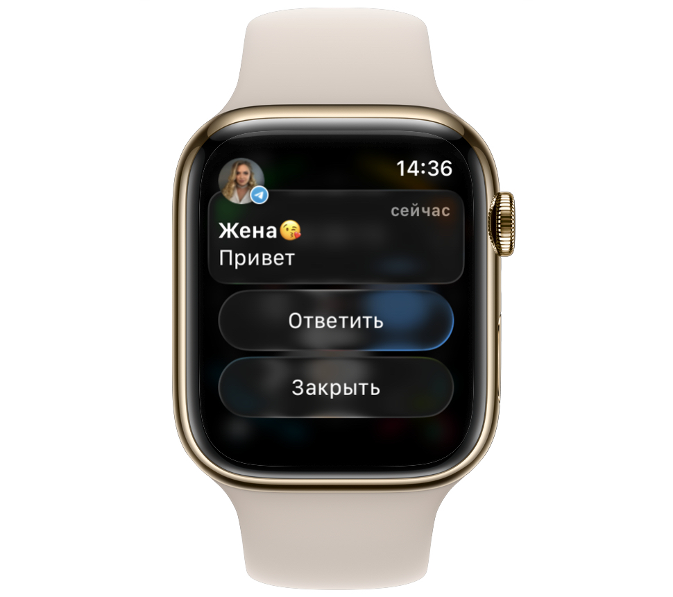 Быстрые ответы в Telegram на Apple Watch. Проще отвечать на сообщения через уведомления. Фото.