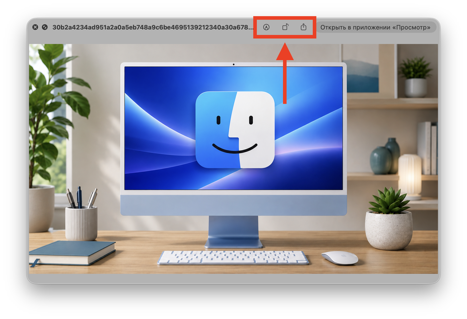 Как открыть файл на Mac без запуска программы. Жмём пробел и получаем доступ к быстрому редактированию. Фото.
