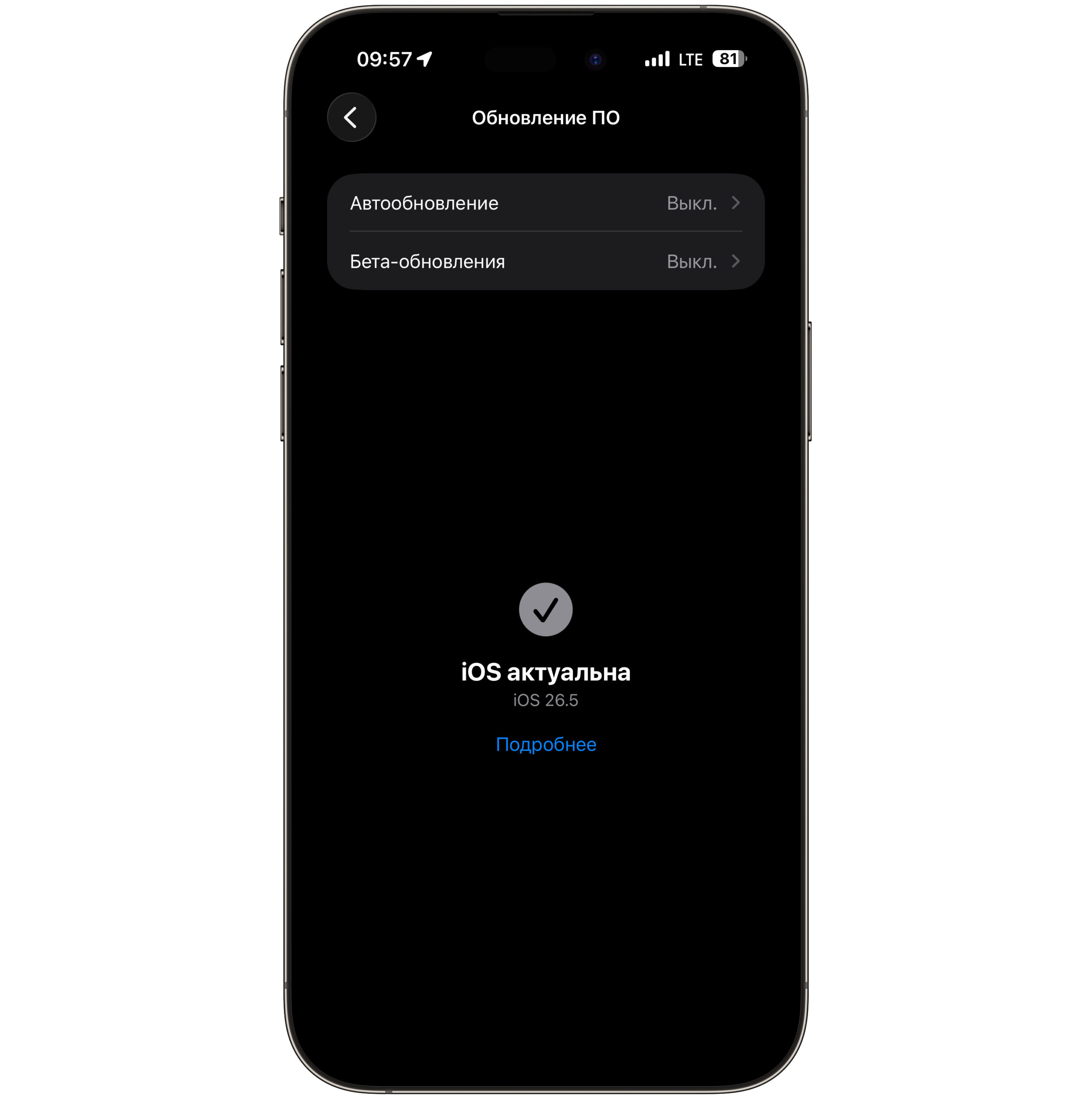 Какие iPhone поддерживают iOS 26.5.1. Мой айфон 16 плюс обновление, естественно, тоже не нашел. Фото.
