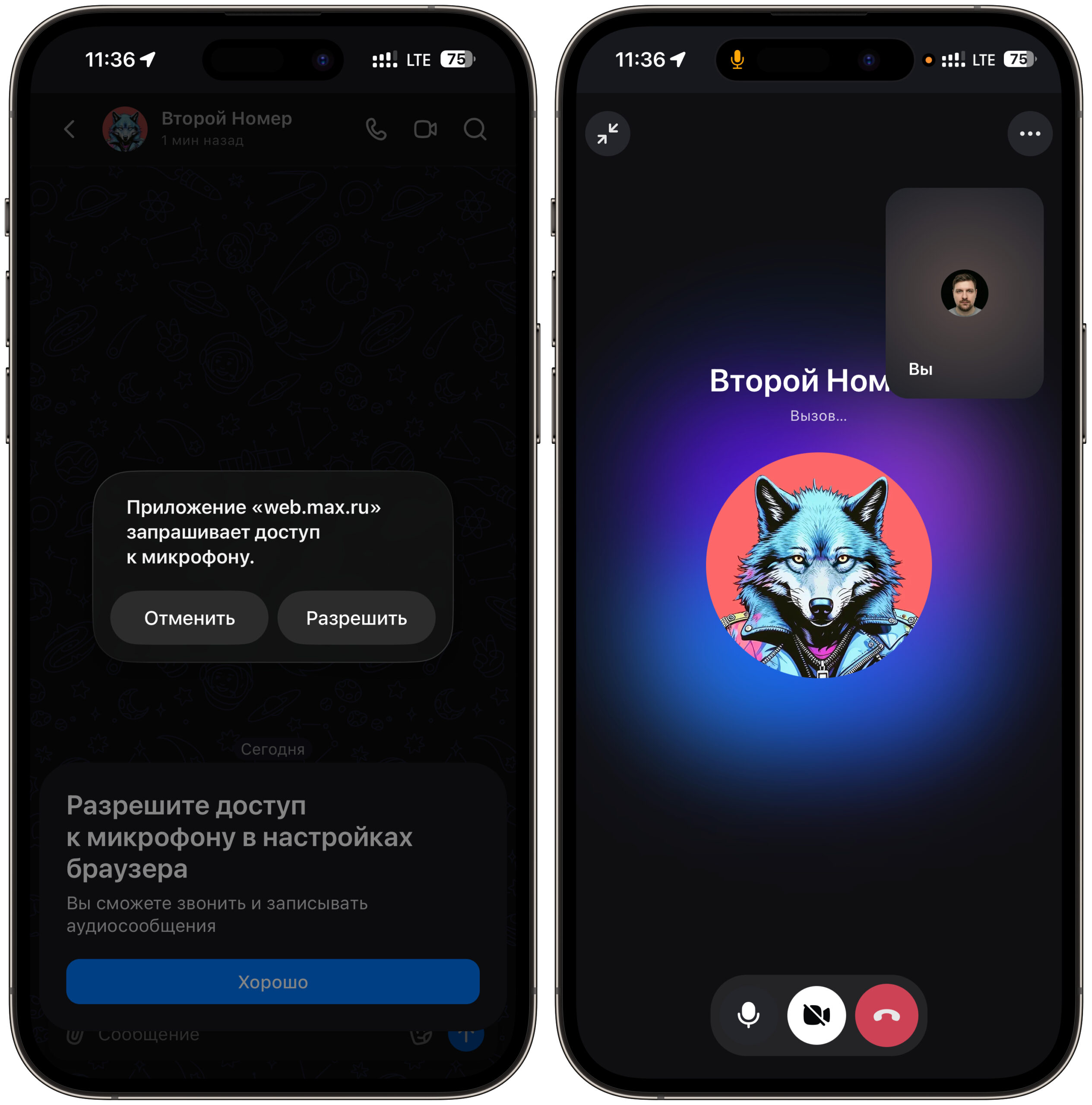 Работают ли звонки в МАКС Web на iPhone. В веб-версии работают звонки. Фото.