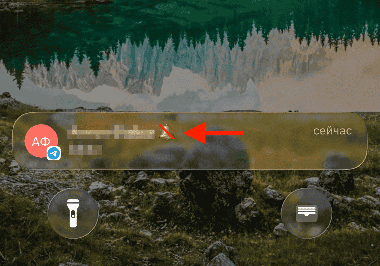 Почему сообщения в Telegram приходят без звука. Оказывается, это не баг, а фича. Фото.