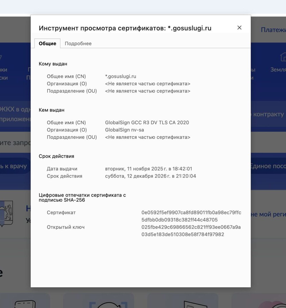 Почему российские сайты продолжают работать в Safari. Госуслуги тоже работают как надо. Фото.
