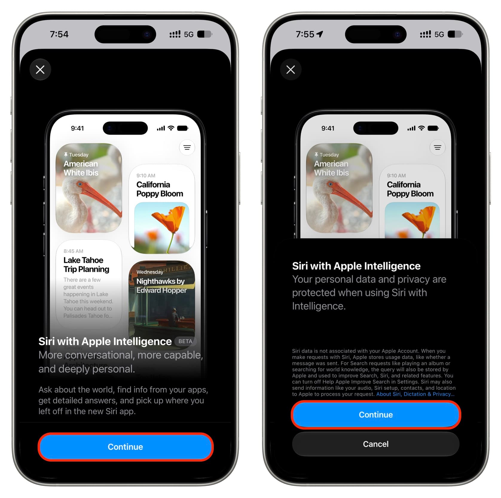 Как активировать Siri AI через настройки Apple Intelligence. Согласитесь со всеми условиями. Фото.