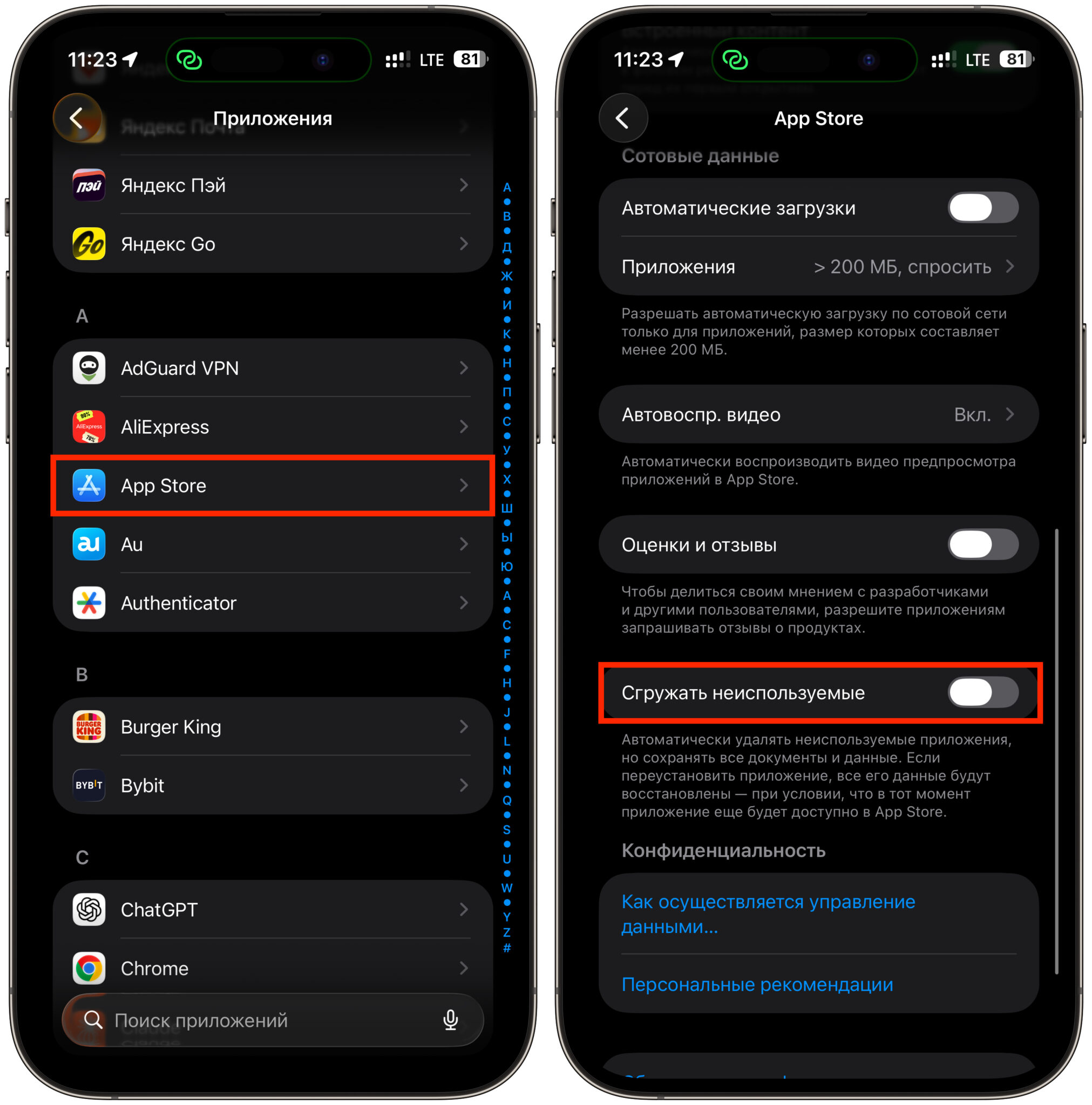 Как сохранить Wildberries и Яндекс Пэй на iPhone. А эту функцию в России лучше держать отключенной. Фото.
