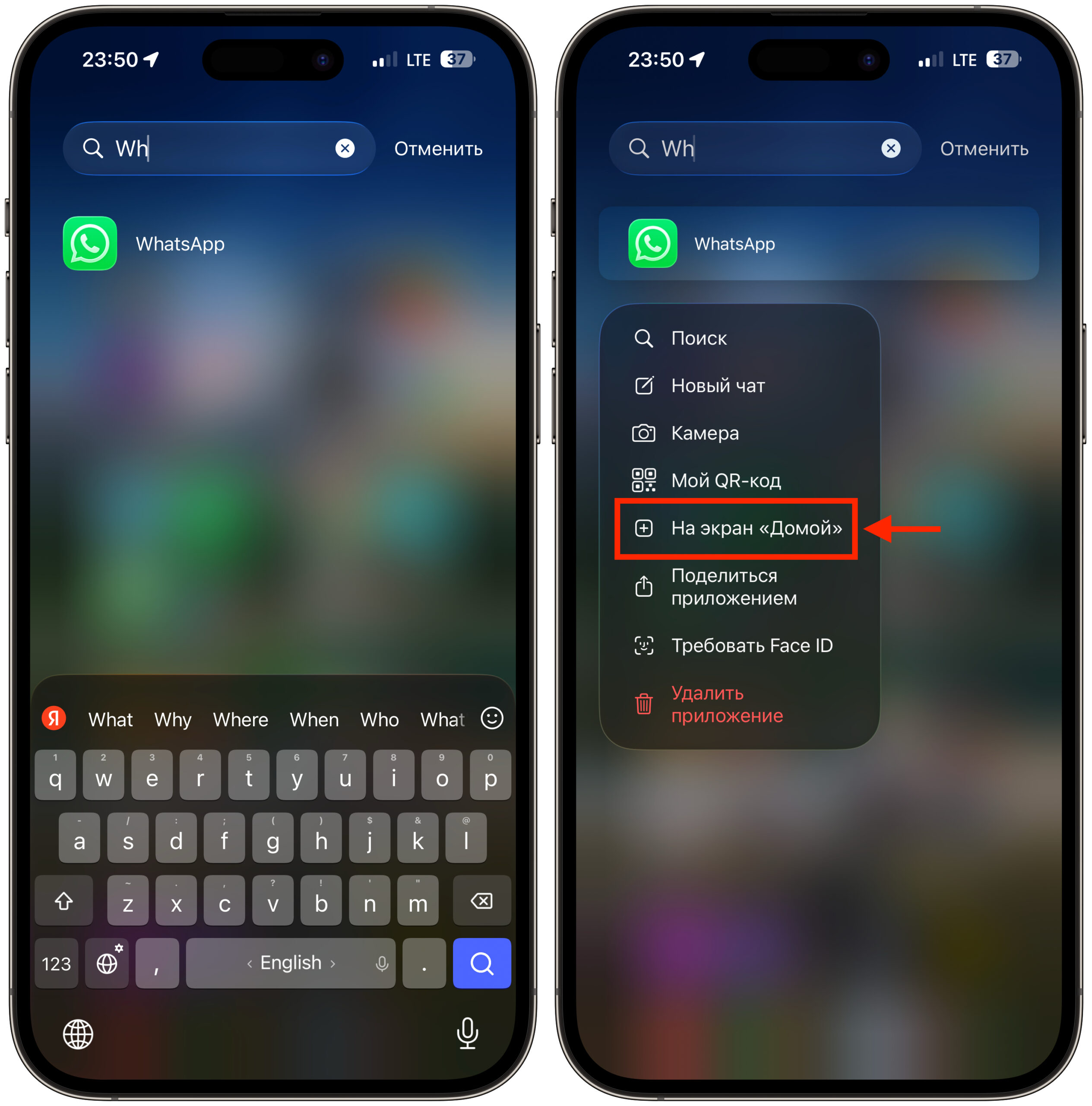 Что делать, если WhatsApp* пропал с iPhone. Ватсап мог спрятаться в библиотеке приложений. Фото.
