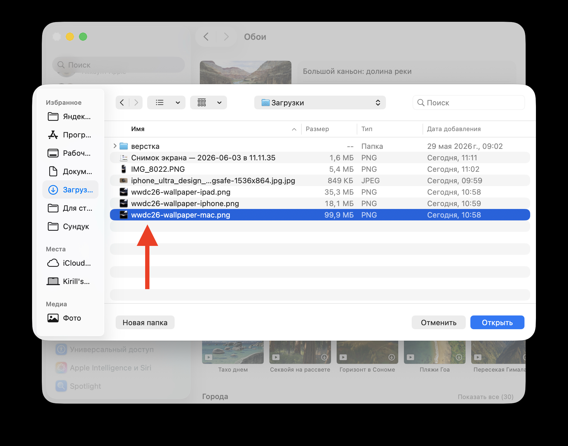 Как поставить обои на macOS, iPadOS и iOS. Выберите картинку в Finder. Фото.