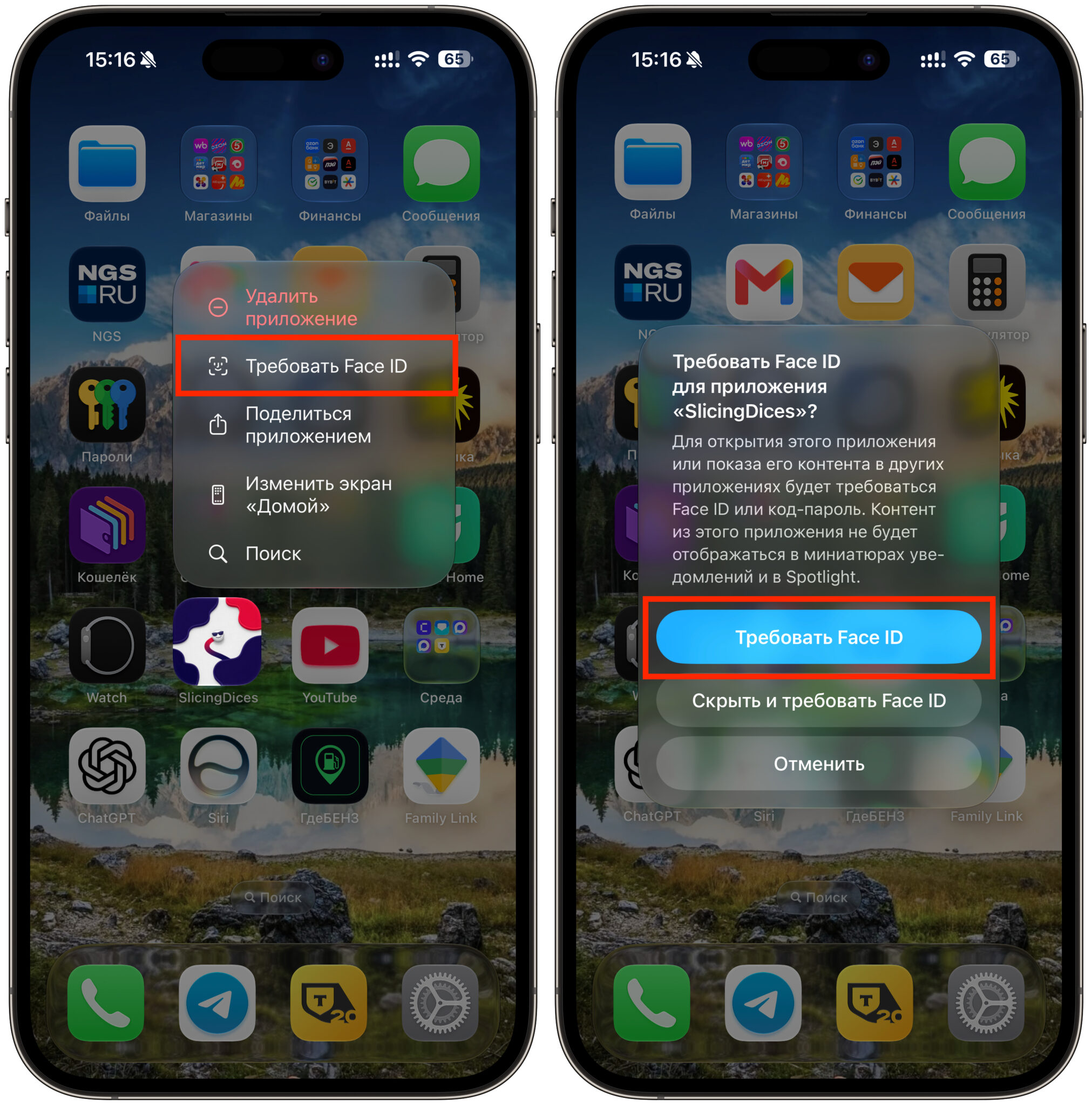 Блокировка приложений с помощью Face ID. Блокируем приложение биометрией. Фото.