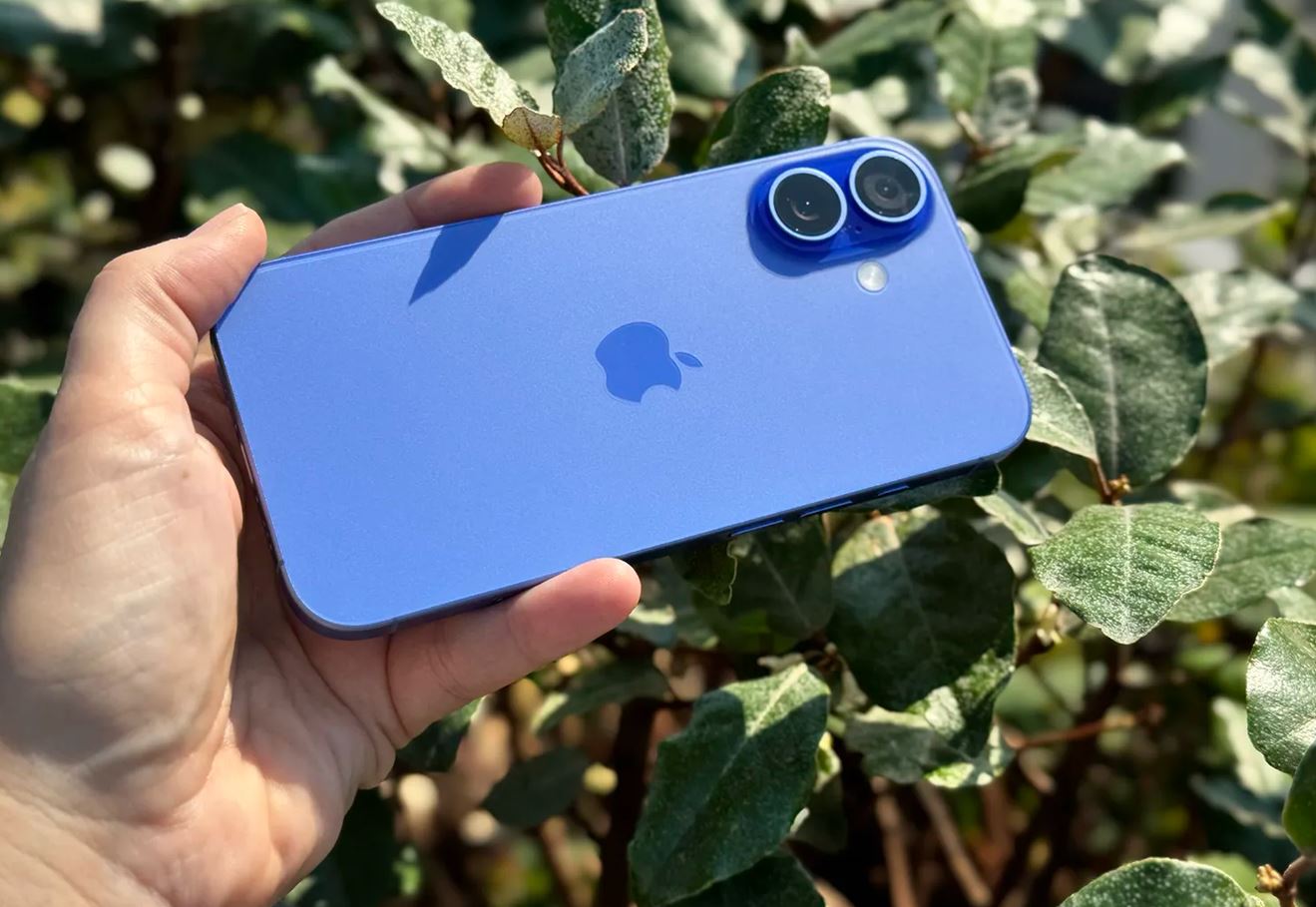 iPhone 16: мощный Айфон для повседневных задач. iPhone 16e — продвинутая модель с огромным запасом по функциональности. Фото.