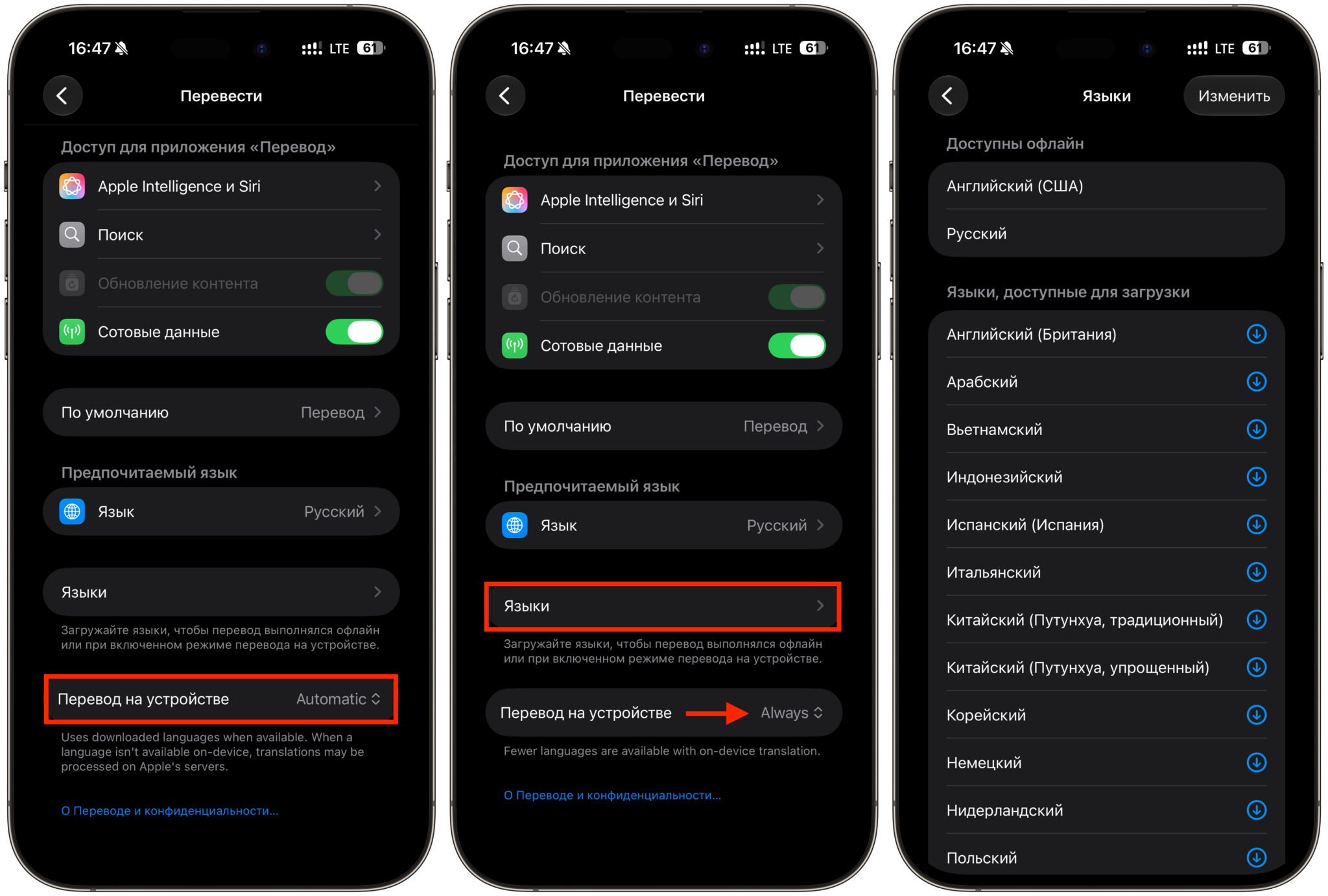 Перевод без интернета на iPhone. Сканер иногда бывает отключен. Включите его и скачайте нужные языки. Фото.