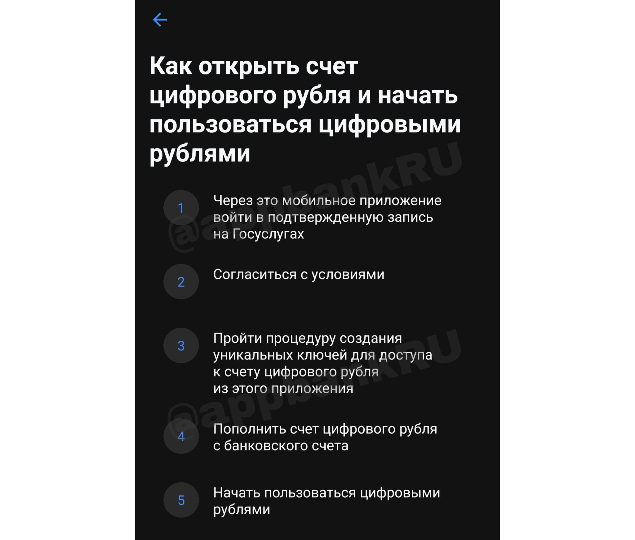 Как открыть кошелек и платить с айфона. В приложениях банков уже тестируется интерфейс открытия счета для цифровых рублей. Изображение: AppBank. Фото.