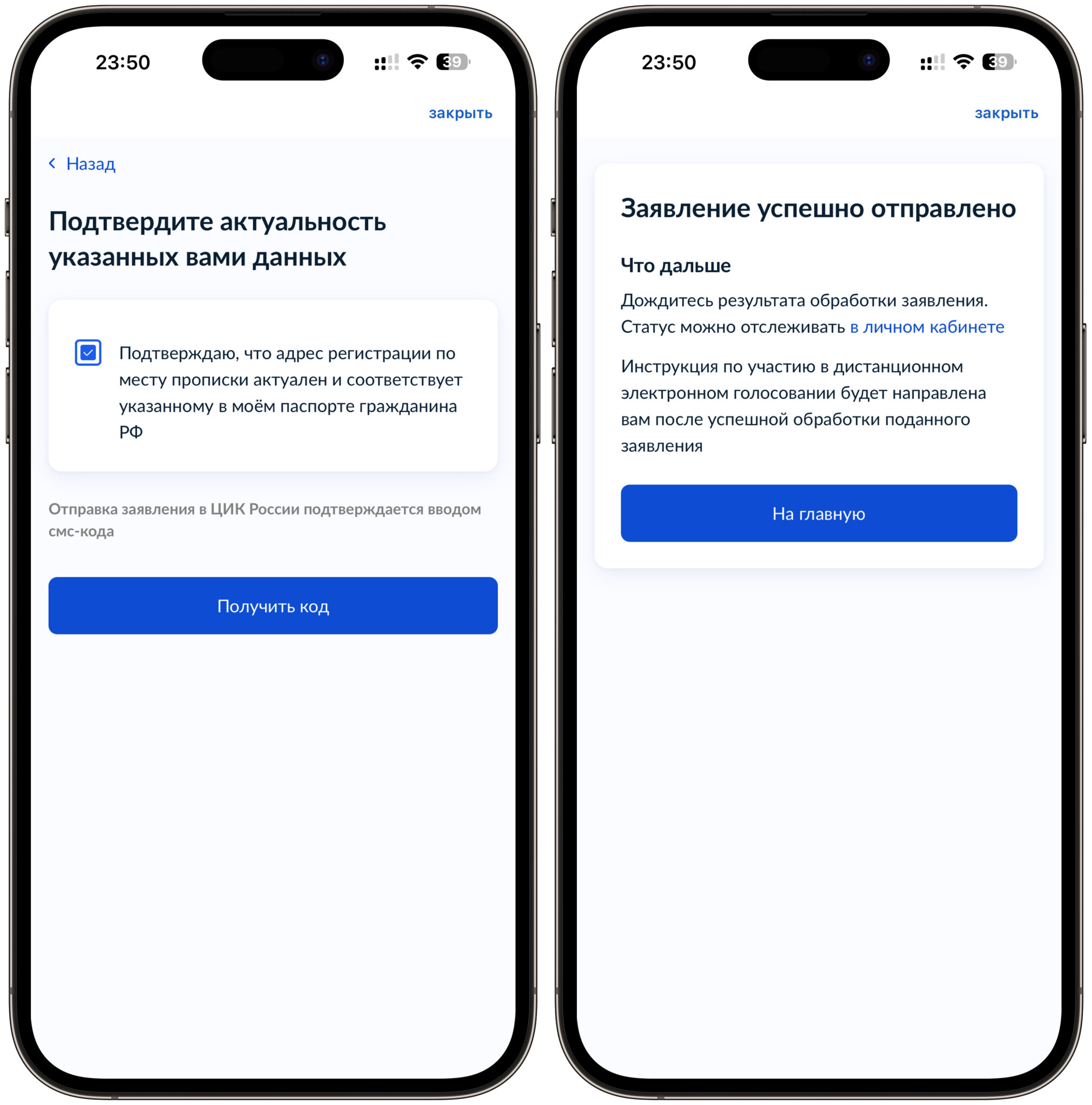 Как подать заявление на ДЭГ через Госуслуги. Заявление будет рассмотрено, и если всё ок, появится возможность проголосовать. Фото.