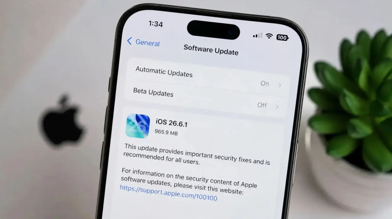Зачем вообще ставить обновление без единой новой функции. Новая iOS уже доступна для установки всем желающим. Фото.