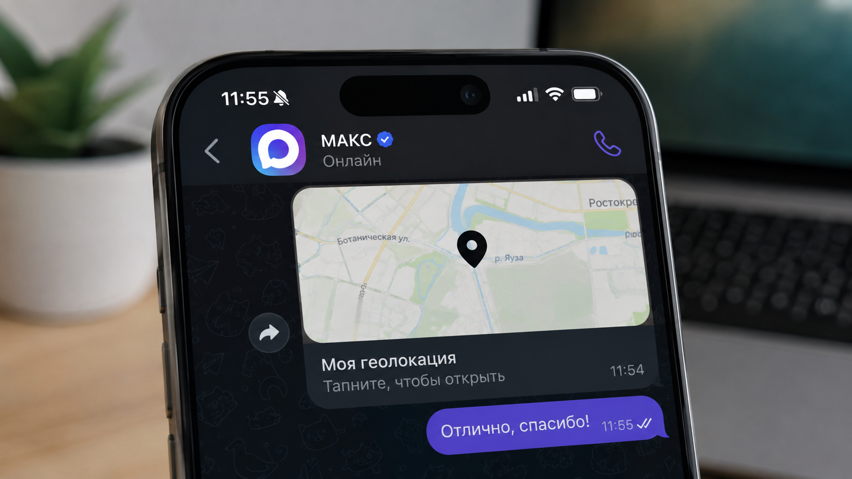 Через МАКС можно поделиться местоположением. Фото.
