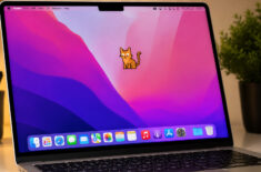 Я завел ИИ-кота на Mac. Он отвечает на любые вопросы, умеет болтать и играть прямо на экране компьютера. Фото.