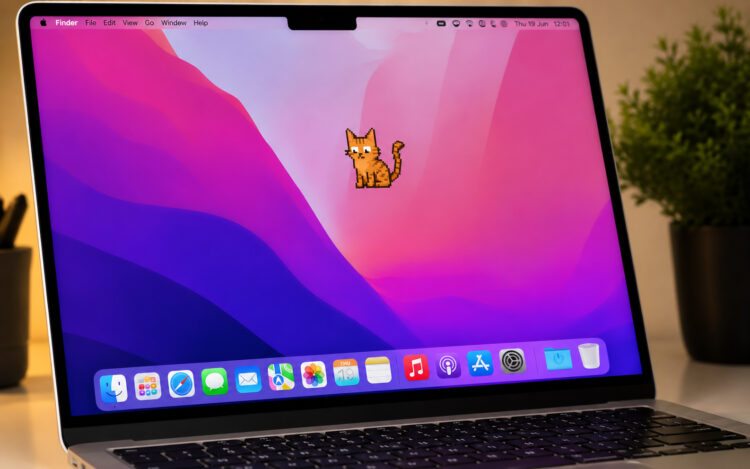 Я завел ИИ-кота на Mac. Он отвечает на любые вопросы, умеет болтать и играть прямо на экране компьютера. Фото.