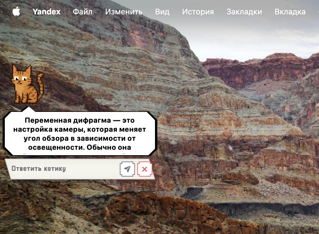 С питомцем можно играть и о нем надо заботиться. А еще, как и любой ИИ, он может отвечать на сложные вопросы в режиме помощника. Фото.