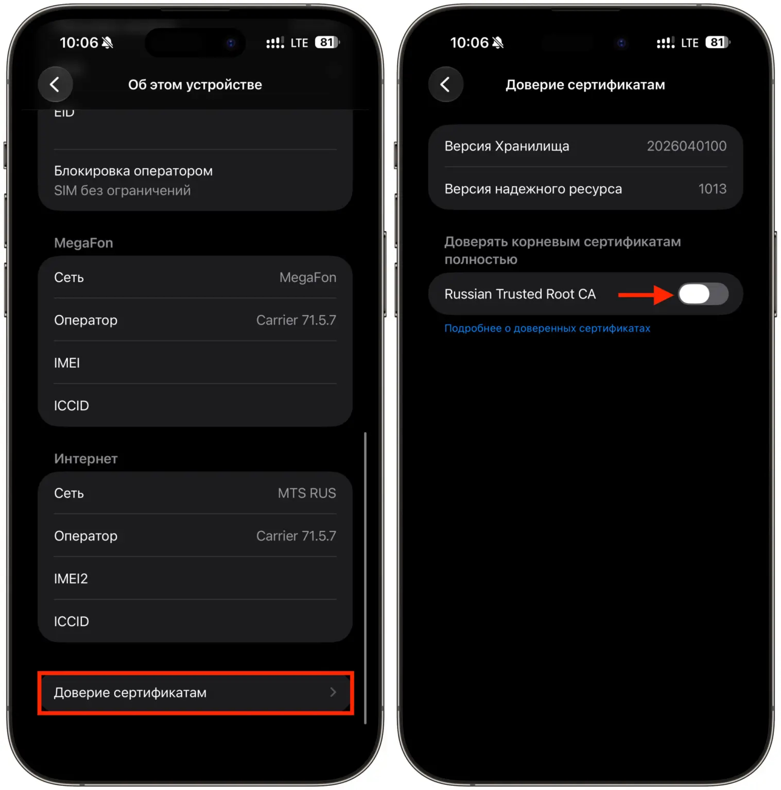Как установить сертификаты Минцифры на iPhone. Сертификаты обязательно надо активировать. Фото.