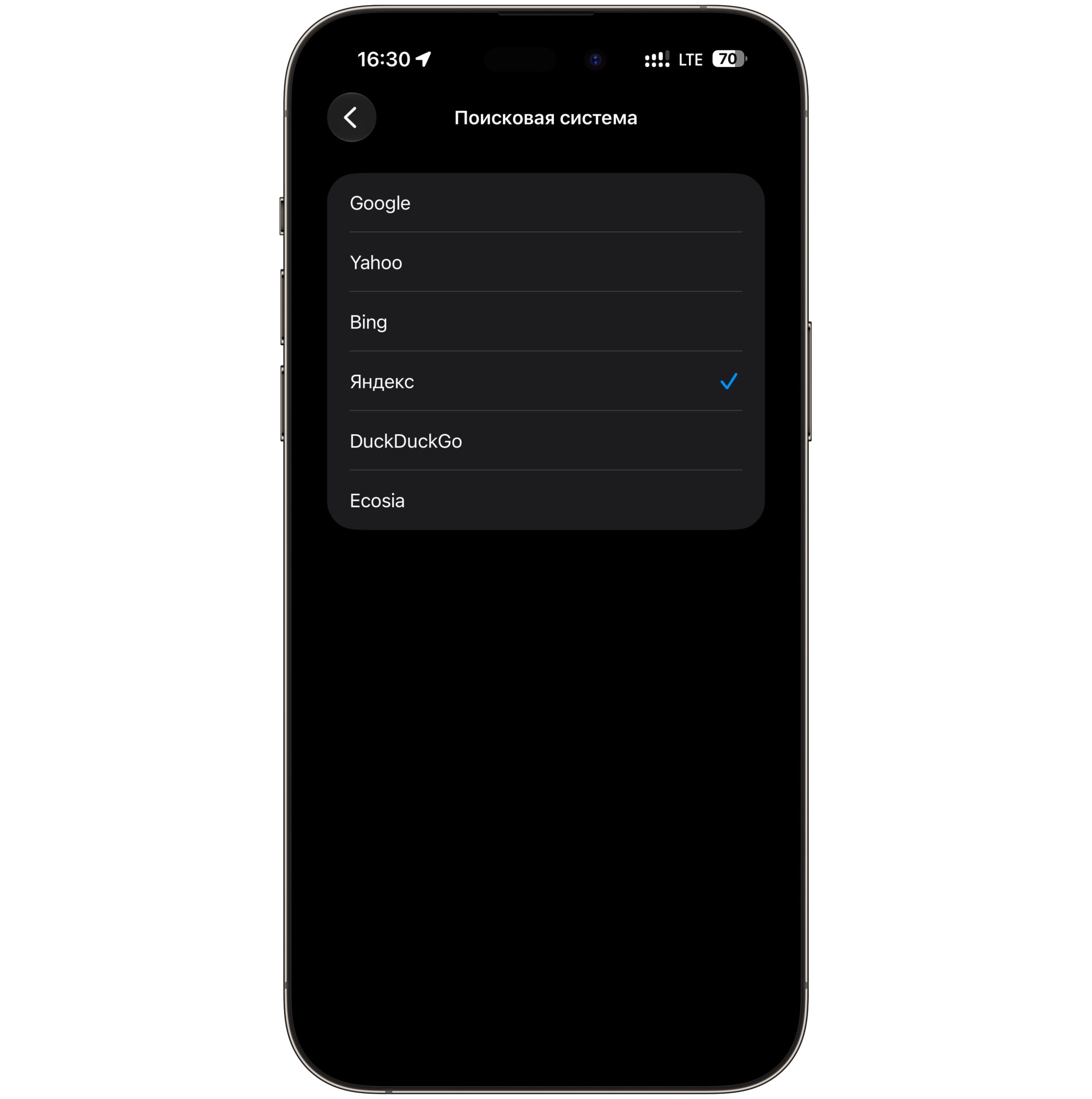 Какие поисковые системы есть на iPhone. Вот все варианты поисковиков в iPhone. Фото.